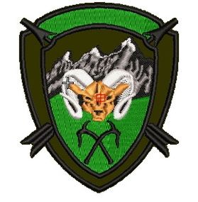 Шеврон Инструктор НАТО (без позывного)