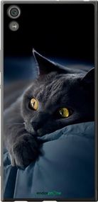 Чохол на Sony Xperia XA1 Ultra G3212 Димчастий кіт "825t-1237-2448"