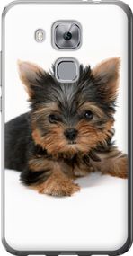 Чехол на Huawei Nova Plus Щенок йоркширского терьера "931u-961-17620"