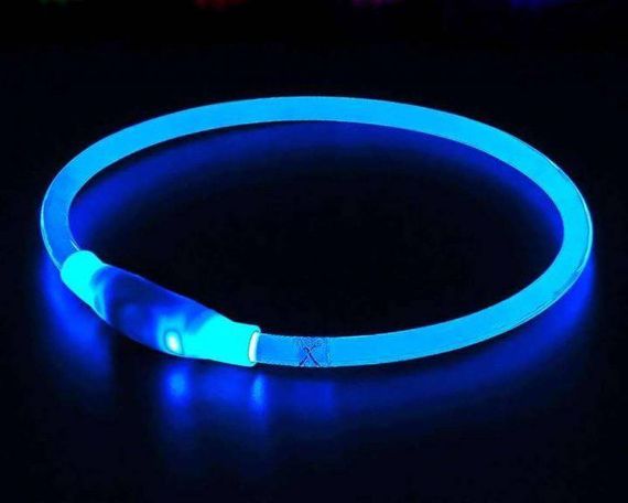 Ошейник для собак, с LED подсветкой, водостойкий, с USB зарядкой, универсальный, Синий | Зображення 1