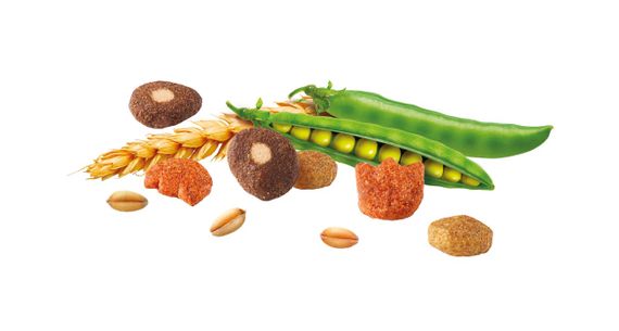 Сухий корм із птицею для стерилізованих котів Brekkies Cat Sterilized, 3 кг | Зображення 5