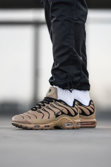 Кроссовки N-i-k-e Air Max TN 0656 42 | Зображення 1