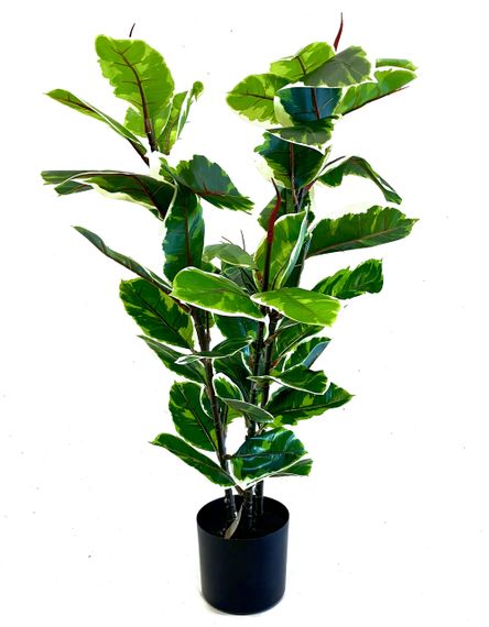 Фикус разноцветный Эластика Белиз (Belize) искусственный 95 см