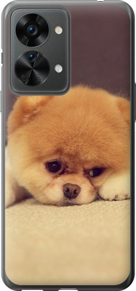Чехол на OnePlus Nord 2T Boo 2 "890u-2640-17620"
