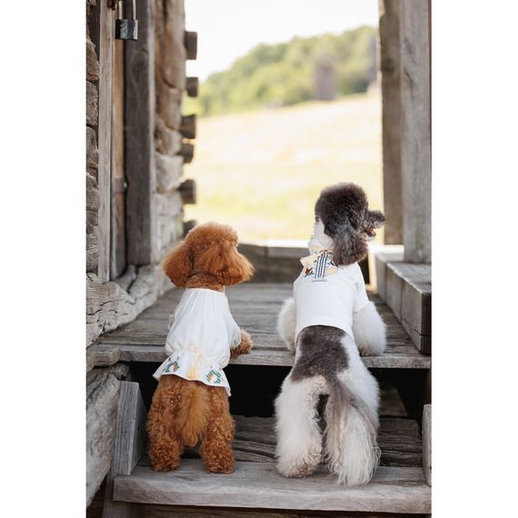 Вишиванка Maryana XSдівчинка | Зображення 4