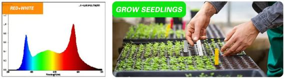 Светильник для растений FLF-09 LED 9W Fito GROW (Red+White) | Зображення 1