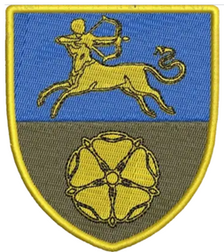 Шеврон 141 ОСБ 423 ОСБ