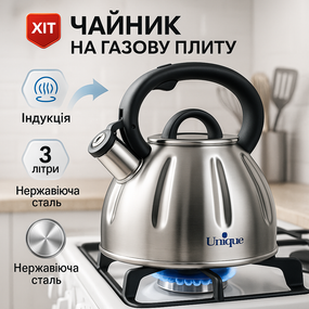 Чайник для чайной церемонии со свистком, Чайник для приготовления чая со свистком BL-43