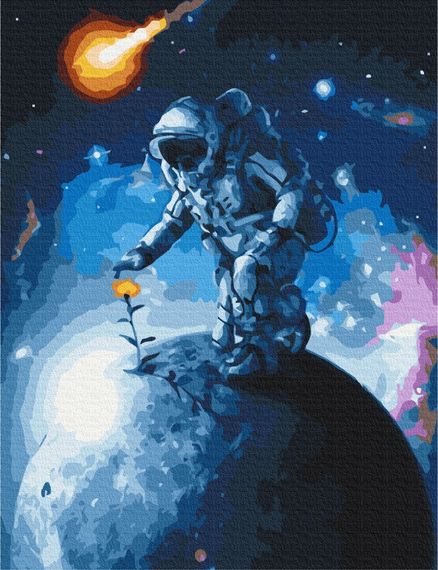 Квіти Всесвіту