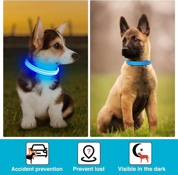 Нашийник для собак світний світлодіодний нашийник для собак, що перезаряджається через USB, водонепроникний | Зображення 4