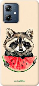 Чохол на Motorola Moto G54 Power Єнотик з кавуном "4605u-3897-2448"