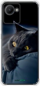 Чохол на Realme C30 Димчастий кіт "825sp-2700-2448"