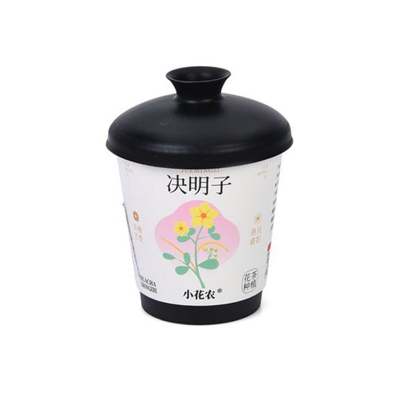 Ботанічні експерименти "Квіти в горщику" X2024-153-1 грунт, насіння, стакан з кришкою