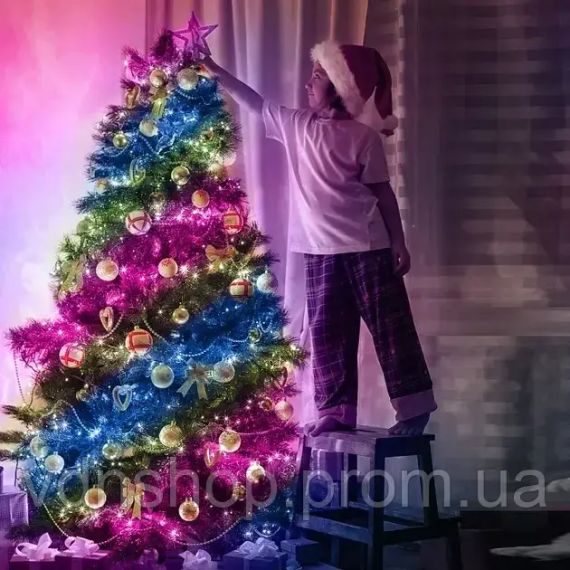 Уличные огни 3*10м Smart Bluetooth App Control Светодиодная LED гирлянда | Зображення 1