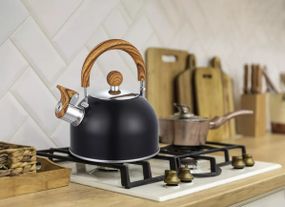 Чайник із свистком Gusto Граф GT-1416-15 1.5 л