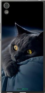 Чохол на Sony Xperia XA1 Ultra G3212 Димчастий кіт "825t-1237-2448"