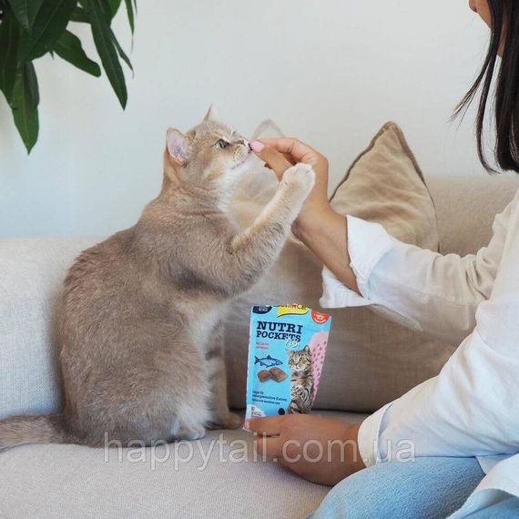 Лакомство Nutri Pockets для котов Рыбные Лосось 60г | Зображення 2