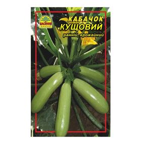 Насіння кабачок Кущовий — 2 г