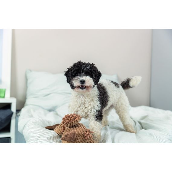 Іграшка Trixie для собак Гриф Густав тканина і плюш 28 см | Зображення 3