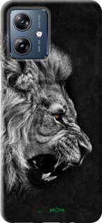 Чохол на Motorola Moto G54 Power Лев "1080u-3897-2448"