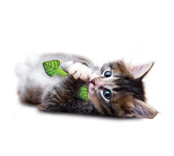 Іграшка для котів з м'ятою Outward Hound Petstages Fresh Breath Mint Stick, 11.5 см | Зображення 1