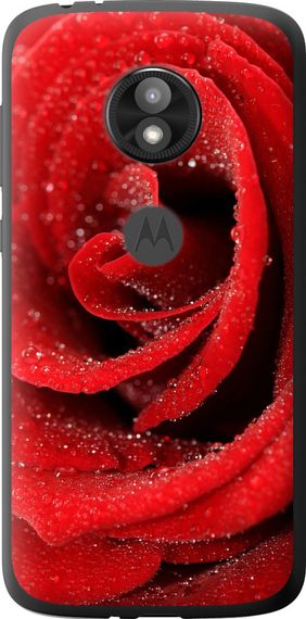 Чехол на Motorola Moto E5 Play Красная роза "529u-1429-17620"