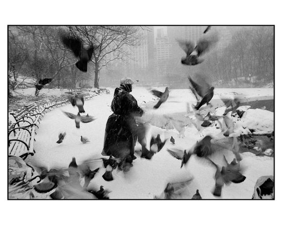 Книга альбом відомих фотографів з фотографіями Брюса Девідсона Bruce Davidson "Central Park" Б/У | Зображення 1