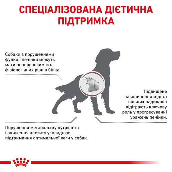 Сухий корм для собак із захворюваннями печінки Royal Canin Hepatic Canine, 7 кг | Зображення 1