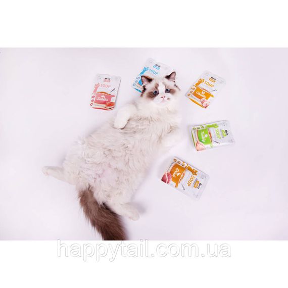 Корм влажный Brit Care Soup Chicken д/котов суп с курицей 75 г | Зображення 6