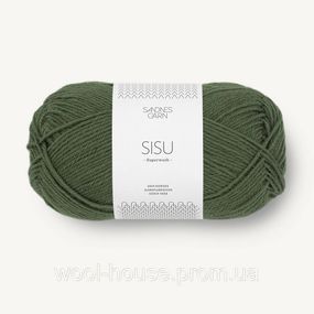 Шкарпеткова пряжа Sandnes Garn Sisu 50 г, 9573
