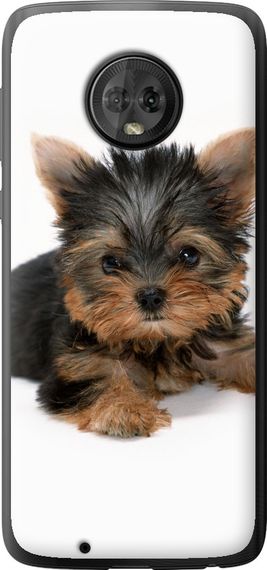 Чехол на Motorola Moto G6 Щенок йоркширского терьера "931u-982-17620"