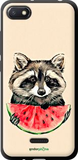 Чохол на Xiaomi Redmi 6A Єнотик з кавуном "4605b-1531-2448"