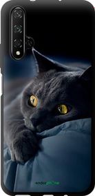 Чохол на Huawei Honor 20 Димчастий кіт "825b-1697-2448"