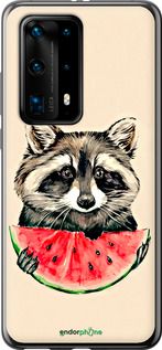 Чохол на Huawei P40 Pro Plus Єнотик з кавуном "4605u-1917-2448"