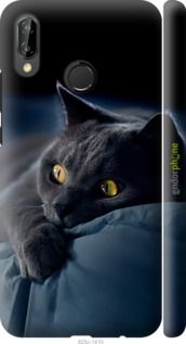 Чохол на Huawei P20 Lite Димчастий кіт "825m-1410-2448"