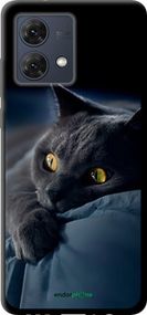 Чохол на Motorola Moto G84 Димчастий кіт "825b-3344-2448"