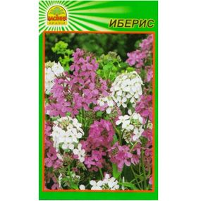 Насіння Іберис 0,3 г (Насіння країни)