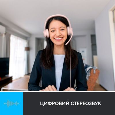 Навушники Logitech H390 USB Rose (981-001281) (981-001281) | Зображення 1