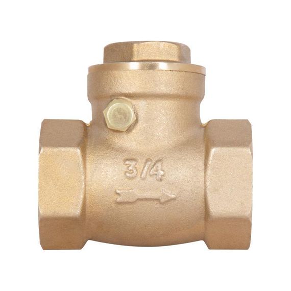 Зворотний клапан Thermo Alliance Standart 3/4" SD242W20 | Зображення 2