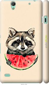 Чохол на Sony Xperia C4 E5333 Єнотик з кавуном "4605m-295-2448"
