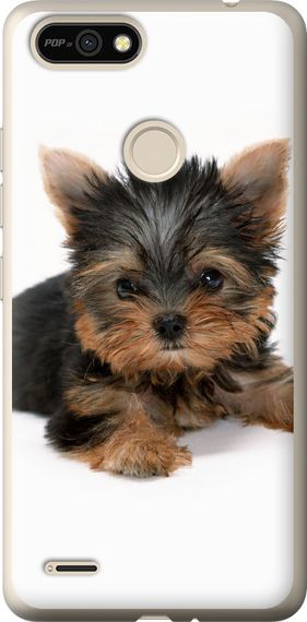 Чехол на Tecno Pop 2F B1F Щенок йоркширского терьера "931u-2391-17620"