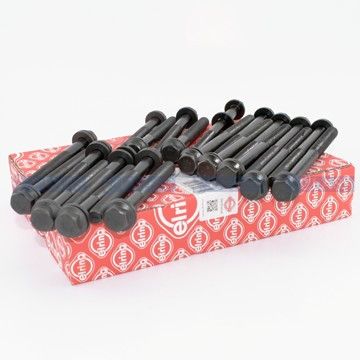 Комплект болтов ГБЦ Ducato/Jumper/Trafic/Master 2.5 D/TD/TDI 89-, Elring, 760.300,