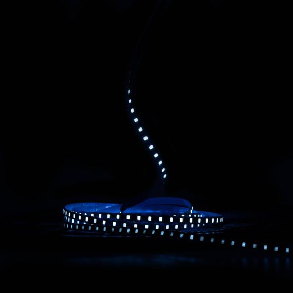 Світлодіодна LED стрічка PROLUM™ 12V IP20 2835\120 6ММ 50M S-TYPE Series "S" Блакитний Лід | Зображення 1