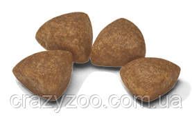 Сухий повнораціонний корм Royal Canin X-Small Puppy для цуценят дрібних порід до 4 кг до 10 місяців 3 кг | Зображення 1