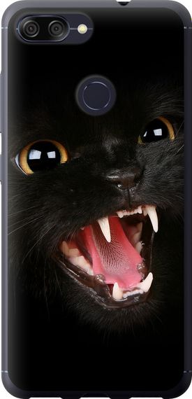 Чехол на Asus ZenFone Max Plus M1 ZB570TL Чёрная кошка "932u-1361-17620"