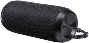Портативна акустика Defender Enjoy S100 Black (65101)
