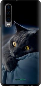 Чохол на Huawei P30 Димчастий кіт "825b-1622-2448"