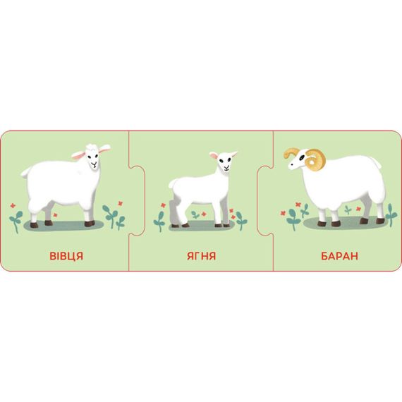 Логічні ланцюжки "Малюки тварини та їхні сім'ї" 1782001 українською мовою | Зображення 3