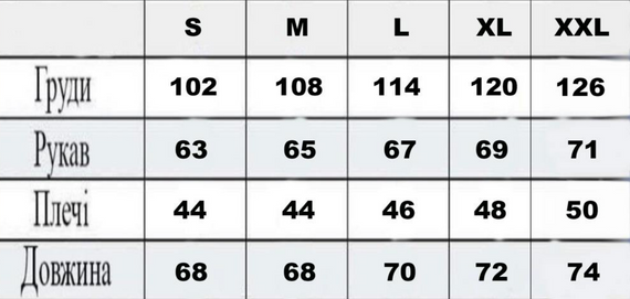 Мужская ветровка на молнии с капюшоном подкладка сетка цвет серый, размер S  BD0024 | Зображення 4