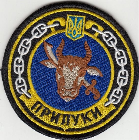 Шеврон Корабль Прилуки ВМС Украина | Зображення 1